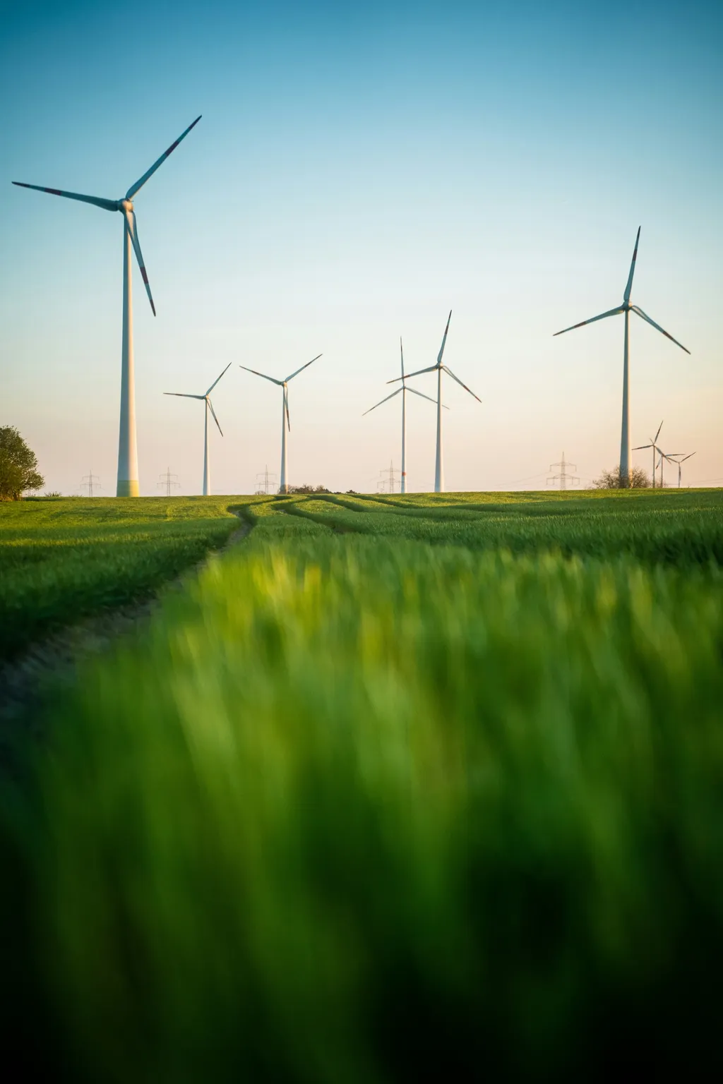 Sustainability 1