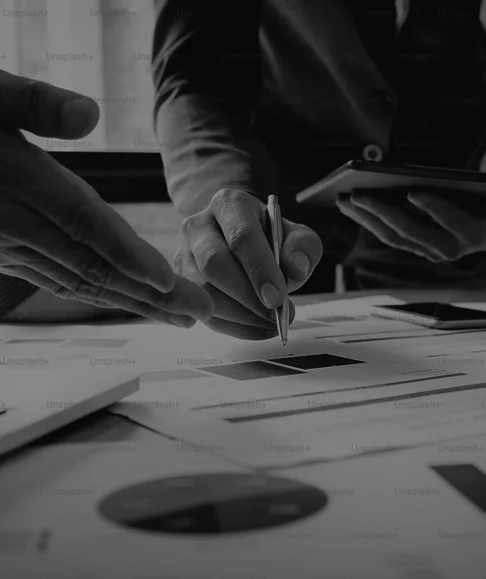 Professional Service